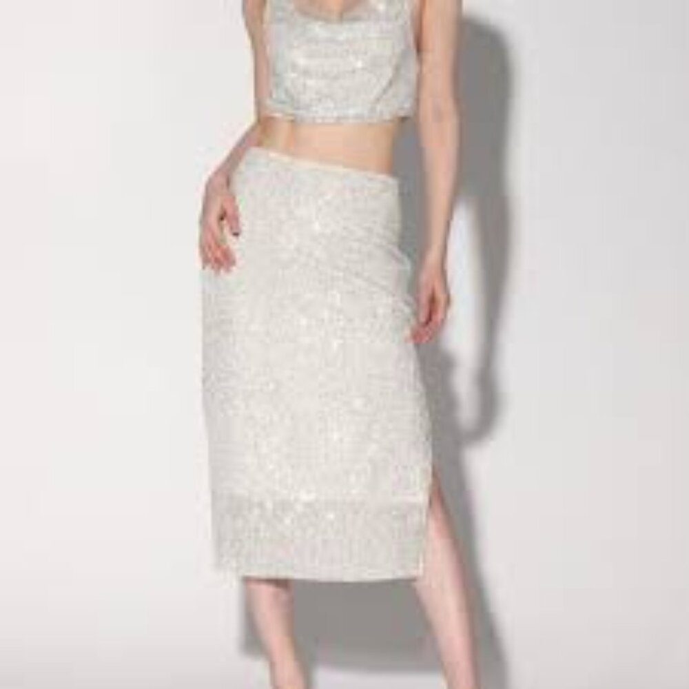 37 -NWT-WALTER BAKER CRISTA ICE SEQUIN SKIRT - Picture 3 of 6